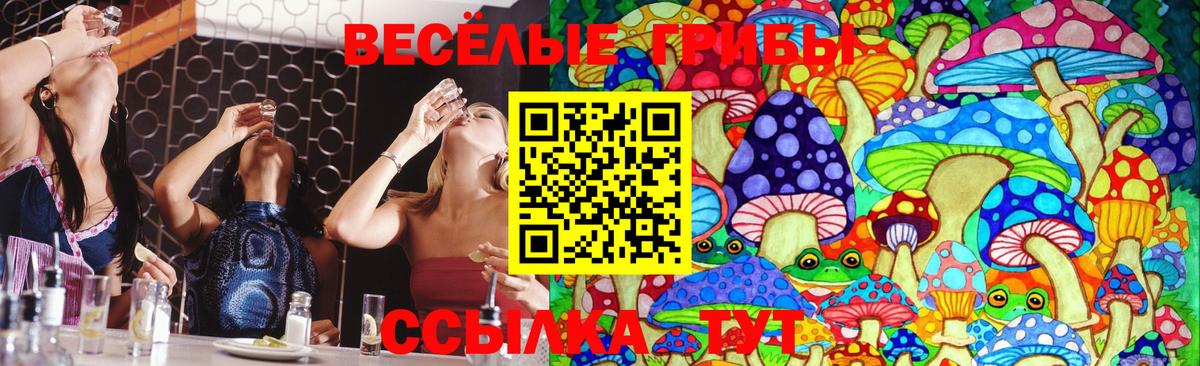 Галлюциногенные грибы прущие грибы  Галлюциногенные грибы GOLDEN TEACHER  Вход с VPN  Прохладный 